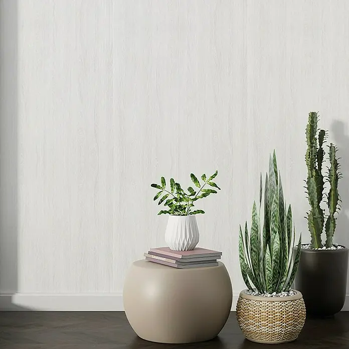 Papel pintado de vinilo adhesivo Lineawall - An x L: 90 cm x 2,8 m, Madera blanca - Plantas de interior en un taburete y en una maceta delante de una pared clara. Cactus decorativos, sansevieria y una pequeña planta en maceta.
