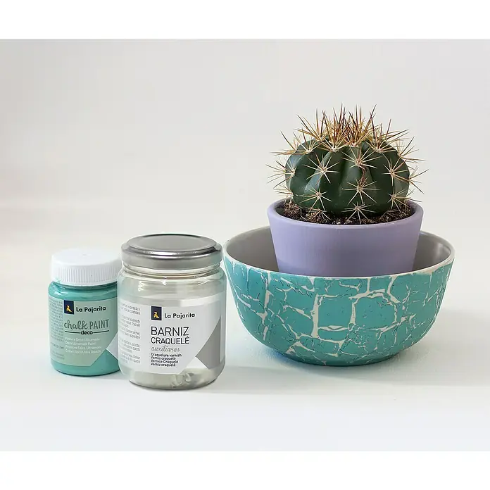 La Pajarita Barniz Craquelé - Incoloro, 175 ml - Bodegón con pintura a la tiza "La Pajarita", barniz craquelado y un cactus en una maceta decorativa.