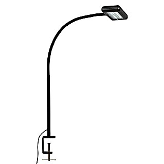 Briloner LED-klemlamp Trasna (7,5 W, Zwart)