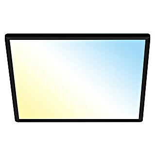 Briloner Led-plafondlamp Slim (420 x 420 x 29 mm, Zwart)