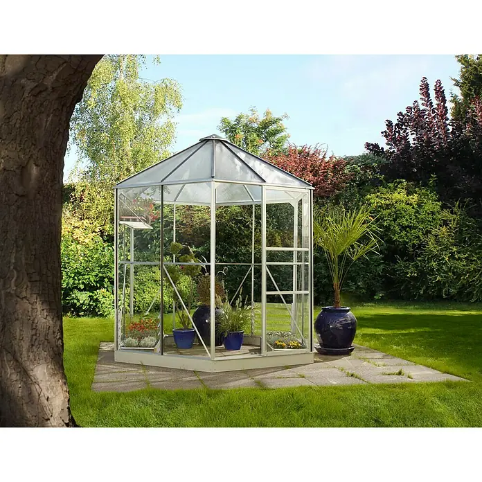 Vitavia Gewächshaus Juno 4500 - Außenmaß inkl. Dachüberstand (B x T): 220,9 x 253 cm, 3 mm, Aluminium - Ein freistehendes Gewächshaus mit Pflanzen auf einer Terrasse im Freien, umgeben von üppigem Grün.