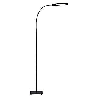 Briloner Staande lamp Servo (Hoogte: 1.600 mm, Zwart)