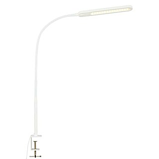 Briloner LED-klemlamp Servo (8 W)