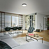 Briloner Led-plafondlamp Flame (Zwart, Ø x h: 157 x 36 mm) | BAUHAUS