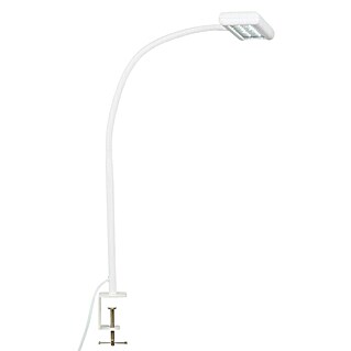 Briloner LED-klemlamp Trasna (7,5 W, Wit)
