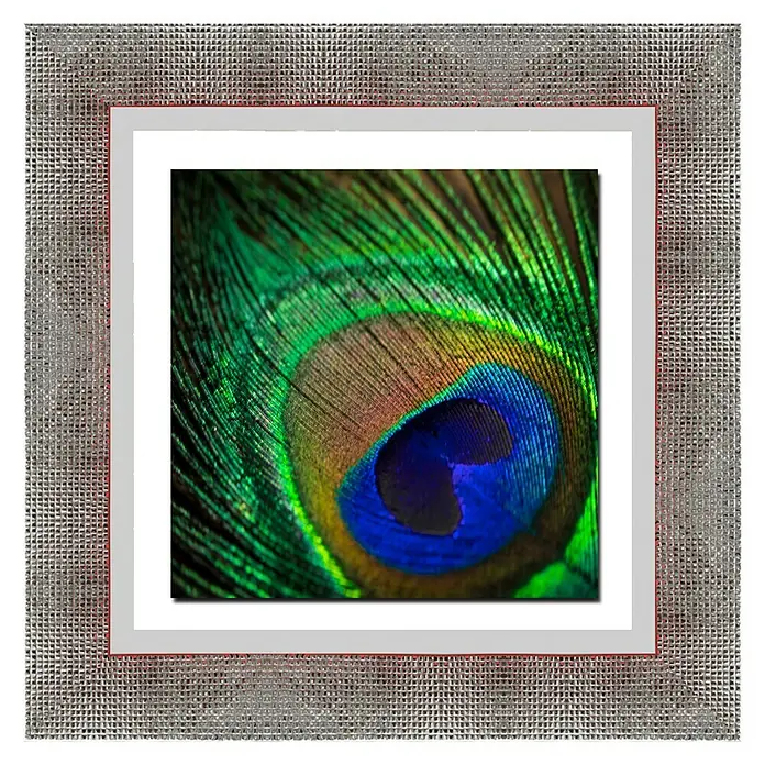 Cuadro Plumas Plata - Plumas, An x Al: 67 x 67 cm - Primer plano de una pluma de pavo real enmarcada con colores vibrantes, que irradia elegancia y belleza natural. Una elegante pieza de decoración.