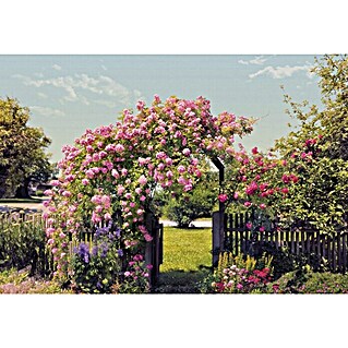 Komar Foto tapeta Rose Garden (8 -dij., Papir)