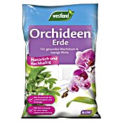 Westland Orchideenerde (Inhalt: 4 l)