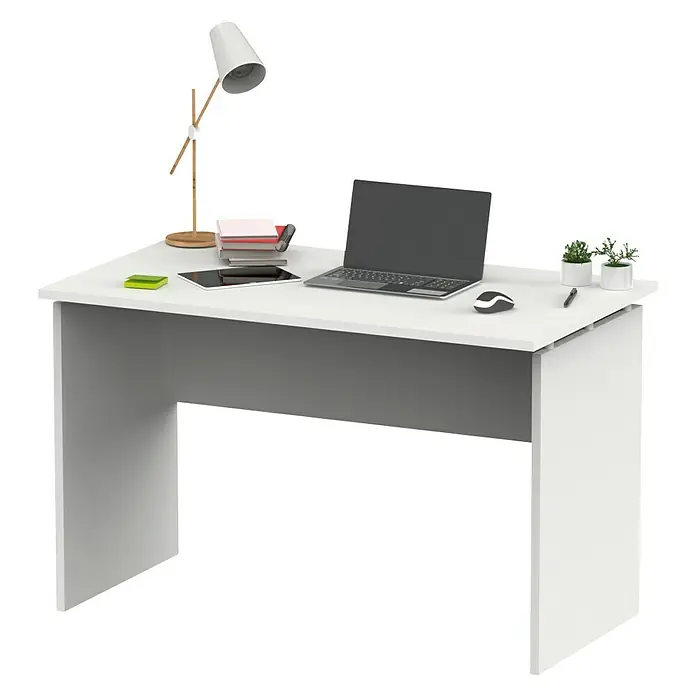 Muebles Pitarch Teide Mesa de escritorio - L x An x Al: 68 x 120 x 76 cm, Blanco - Un escritorio blanco moderno con un panel gris. Sobre el escritorio, hay un portátil, una lámpara y algunas plantas pequeñas.