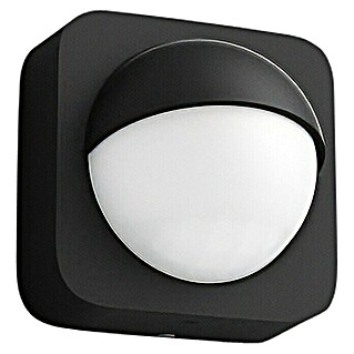 Philips Hue Senzor gibanja (Črne barve, Približno območje: 12 m, Na baterije, 7,5 x 17,6 x 16,5 cm)