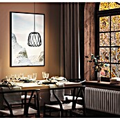 Eglo Lámpara colgante redonda Floresta (40 W, Ø x Al: 19,5 x 110 cm, Negro, E27) | BAUHAUS