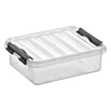 Sunware Aufbewahrungsbox Q-Line (L x B x H: 20 x 15 x 6 cm, Kunststoff, Transparent, Farbe Griff: Schwarz) | BAUHAUS