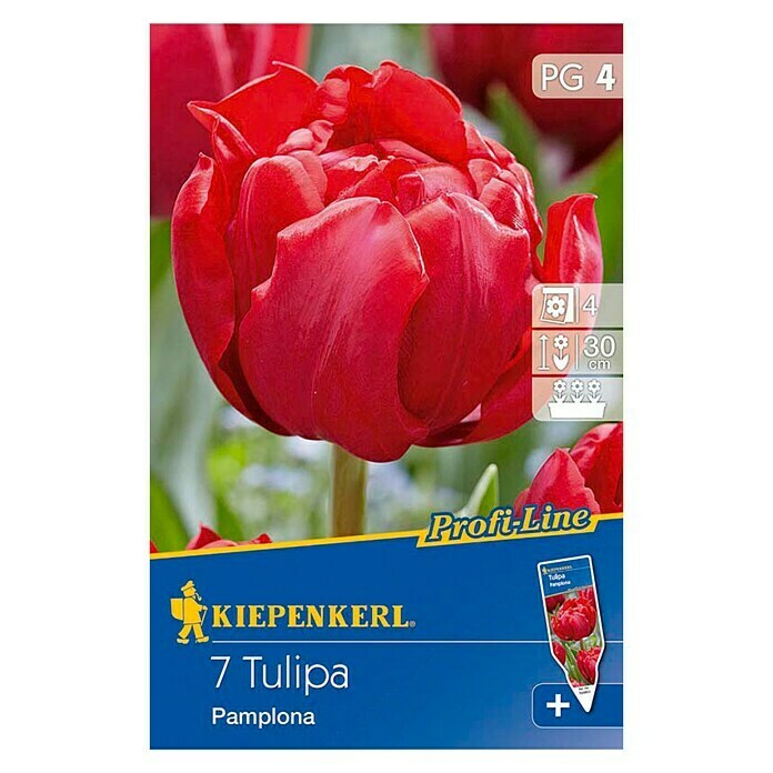 Kiepenkerl Profi-Line FrühlingsblumenzwiebelnTulipa 'Pamplona', Rot, 7 Stk. Front View