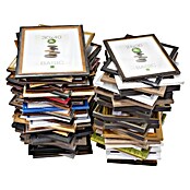 Bilderrahmen BASIC 999 (Bildformat 13 x 18 cm, farblich sortiert, Holz) | BAUHAUS