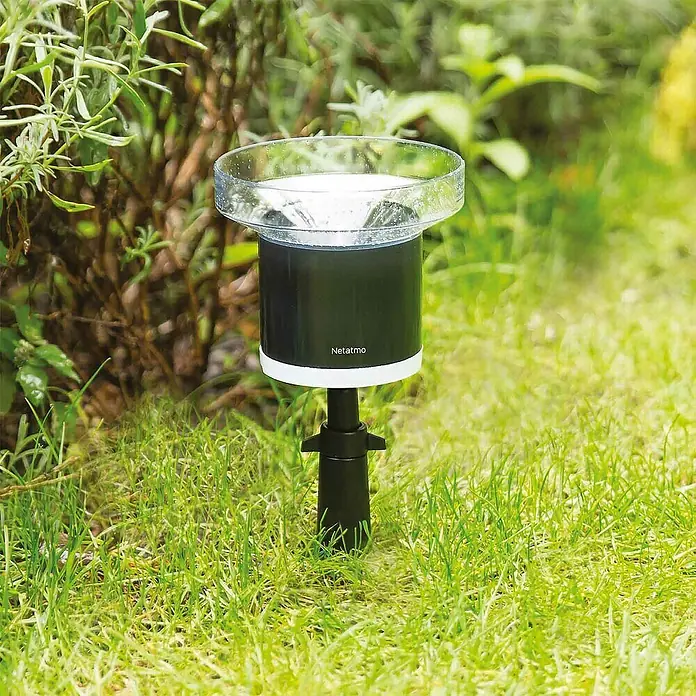 Netatmo Pluviómetro - Funciona con pilas, Diámetro: 13 cm, Negro - El pluviómetro Netatmo en el jardín, rodeado de hierba verde y plantas. Mide con precisión la cantidad de lluvia.