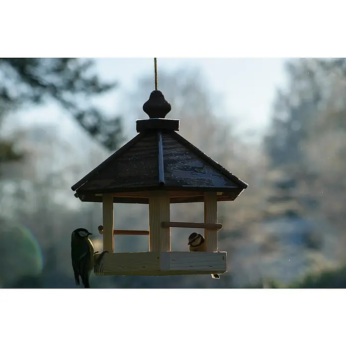 Dobar Vogelfutterhaus Wildlife - 35 x 31 x 37 cm, Natur/Braun, Holz - Ein hölzernes Vogelhaus mit zwei Blaumeisen, eine sitzt außen und eine innen, vor einem verschwommenen Hintergrund.
