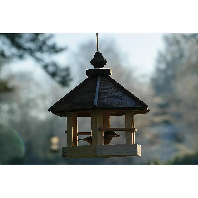 Dobar Vogelfutterhaus Wildlife - 35 x 31 x 37 cm, Natur/Braun, Holz - Eine hölzerne Vogeltränke mit einem kleinen Vogel darin, der in der Wintersonne ein köstliches Mahl genießt.