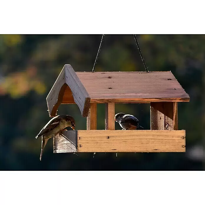 Dobar Vogelfutterhaus Altmühl - 26 x 25 x 21 cm, Braun, Holz - Stimmungsaufnahme