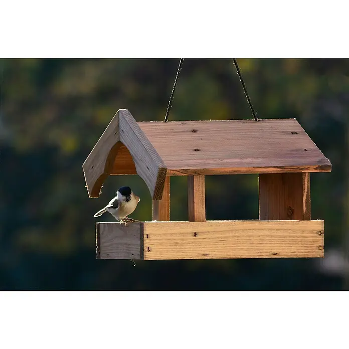 Dobar Vogelfutterhaus Altmühl - 26 x 25 x 21 cm, Braun, Holz - Ein niedlicher Sumpfmeise-Vogel sitzt auf einem hölzernen Vogelhaus und genießt sein Futter in der Natur.