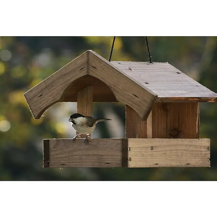 Dobar Vogelfutterhaus Altmühl - 26 x 25 x 21 cm, Braun, Holz - Nahaufnahme eines Holz-Vogelhauses mit einem kleinen Vogel, der darauf sitzt und ein Samenkorn im Schnabel hält.