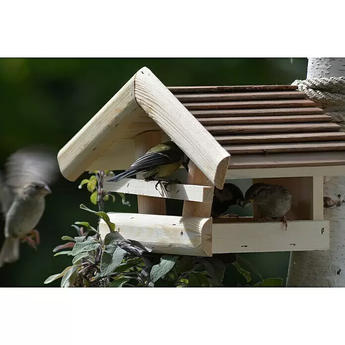 Dobar Vogelfutterhaus Wildlife - 36 x 20 x 20 cm, Natur/Braun - Futterhaus aus Holz mit Lamellendach, aktiv von kleinen Vögeln genutzt.