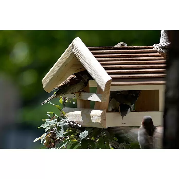Dobar Vogelfutterhaus Wildlife - 36 x 20 x 20 cm, Natur/Braun - Hölzernes Vogelfutterhaus, von mehreren Vögeln inmitten grüner Blätter genutzt.