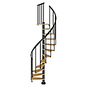 Dolle Spindeltreppe Calgary (Durchmesser: 120 cm, Anthrazit, Farbe Stufen: Buche Natur, Geschosshöhe: 244,8 - 280,8 cm)