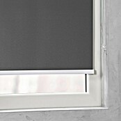 Rollo mit Kassette (B x H: 110 x 175 cm, Grau) | BAUHAUS