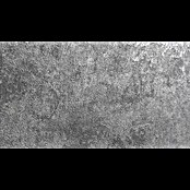 Marburg Natural Opulence Vliestapete Struktur I (Grau, Betonoptik, 10,05 x 0,7 m) | BAUHAUS