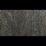 Marburg Natural Opulence Vliestapete Weiche Gräser (Platin, Floral, 10,05 x 0,7 m) | BAUHAUS
