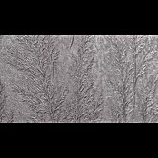 Marburg Natural Opulence Vliestapete Weiche Gräser (Grau, Floral, 10,05 x 0,7 m) | BAUHAUS