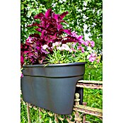 KHW Geländertopf Flowerclip XL (2 Stk., 57,5 cm, Anthrazit)