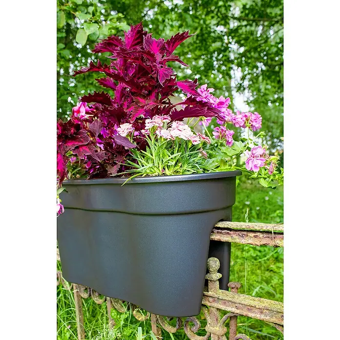 KHW Geländerkasten Flowerclip XL - Außenmaß (L x B x H): 57,5 x 27,7 x 27,5 cm, Kunststoff, Anthrazit - Der Pflanzkasten ist aus schwarzem Kunststoff und hängt an einem alten, rostigen Zaun. Er ist mit bunten Blumen bepflanzt.