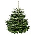 Nordmann kerstboom 
