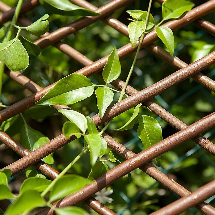 Nortene Panelna ograja  (Š x V: 0,5 x 1,5 m) | 7428 - Sichtschutzmatten Kunststoff | IAGC - Sichtschutz | IAG - Außenbereichsausstattung | IA - Gartenhartware | I - Stadtgarten | BAUHAUS
