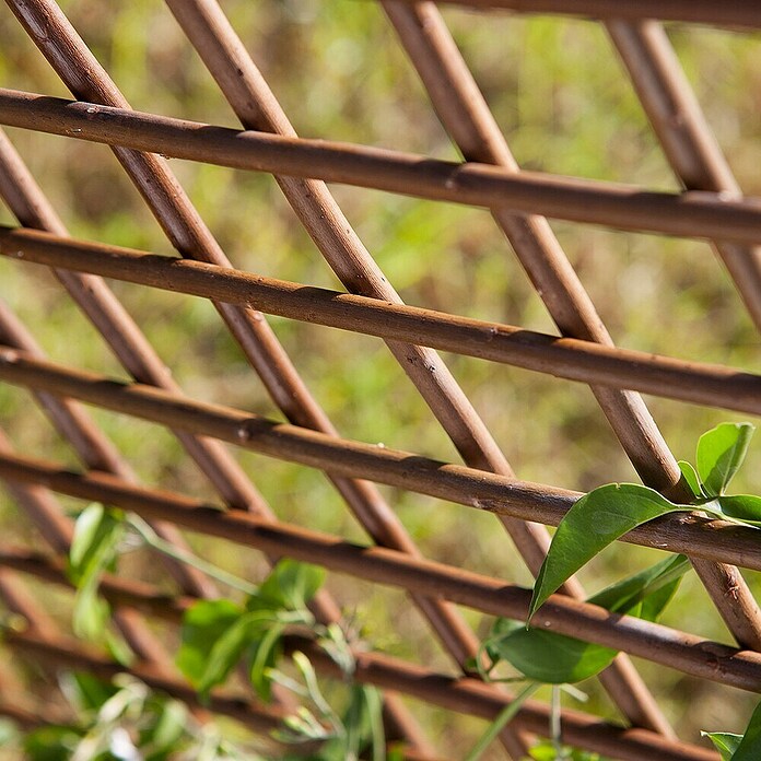 Nortene Panelna ograja  (Š x V: 0,5 x 1,5 m) | 7428 - Sichtschutzmatten Kunststoff | IAGC - Sichtschutz | IAG - Außenbereichsausstattung | IA - Gartenhartware | I - Stadtgarten | BAUHAUS