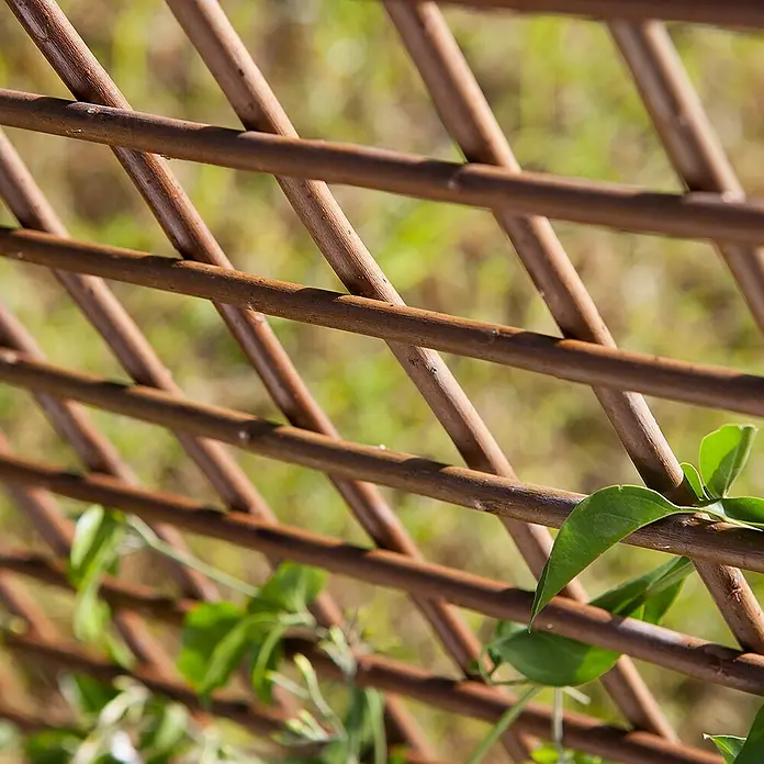 Nortene Sichtschutzelement - B x H: 0,5 x 1,5 m, Braun - Nahaufnahme einer dekorativen Rankhilfe aus Holz mit grünen Pflanzen, ideal für Gartenliebhaber.