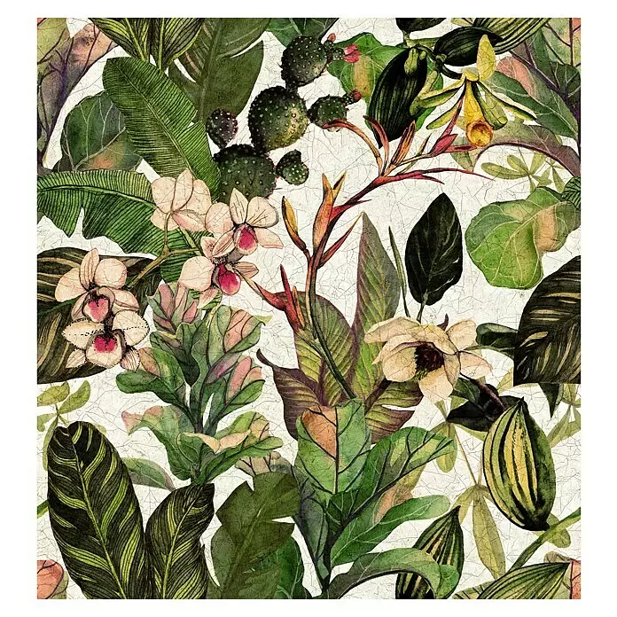 Marburg Smart Art Gallery Fototapete Craquelé - B x H: 3,18 x 3,4 m, Vlies, Motiv V - Lebhaftes tropisches botanisches Muster im Aquarellstil, mit grünen Blättern, Orchideen und Kakteen auf hellem, rissigem Hintergrund.