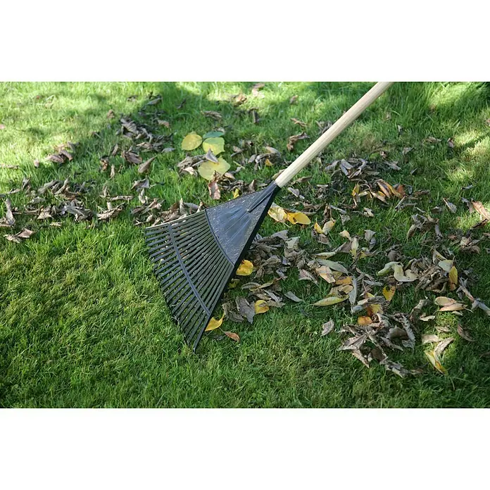 Gardol Laubbesen - Arbeitsbreite: 55 cm, Anzahl Zinken: 22, Langstiel - Ein Laubbesen mit Holzstiel liegt auf einem Rasen voller Blätter, ideal zum Zusammenkehren des Herbstlaubes und für die Gartenarbeit.