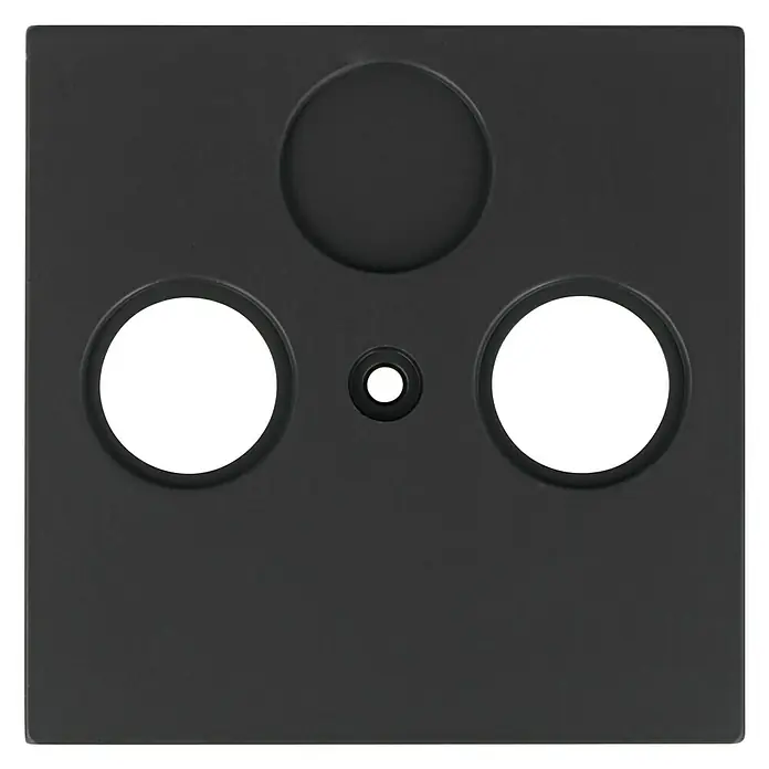 Antennenabdeckung - Anthrazit, 2-fach, Kunststoff, IP20 - Nahaufnahme einer schwarzen Metallabdeckung mit Löchern. Das Produkt verfügt über eine robuste Bauweise und ein schlichtes Design.