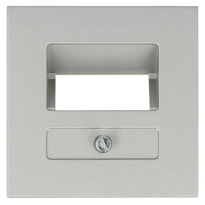 UAE-Abdeckung - Silber, Kunststoff - Silberne Wandplatte mit rechteckigem Ausschnitt und Schraube, ideal für elektronische Geräte.