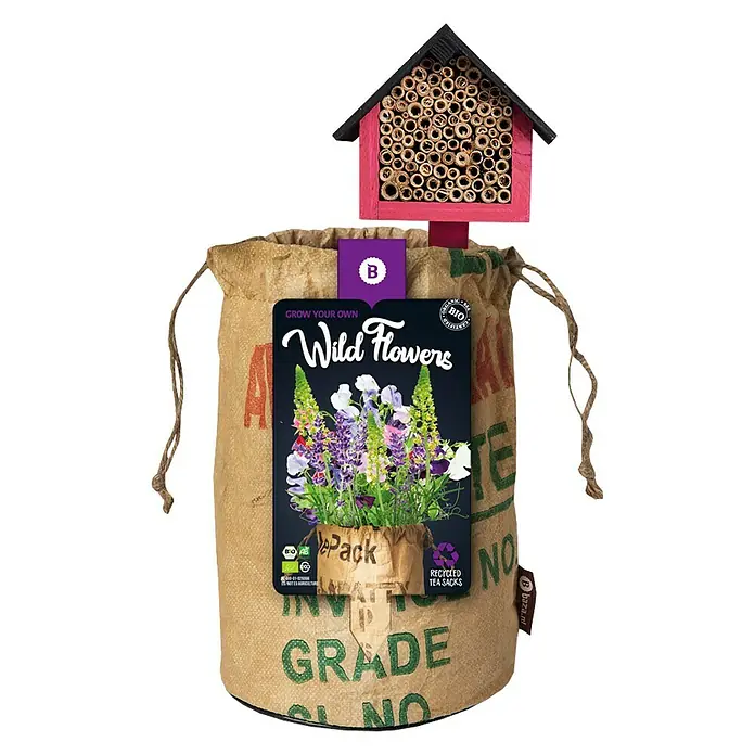 Baza Wildblumensamen mit InsektenhotelViolett/Gelb - Eine Packung Wildblumensamen mit einer Anleitung zum Anbau und einem kleinen Insektenhaus, ideal für Gartenliebhaber.