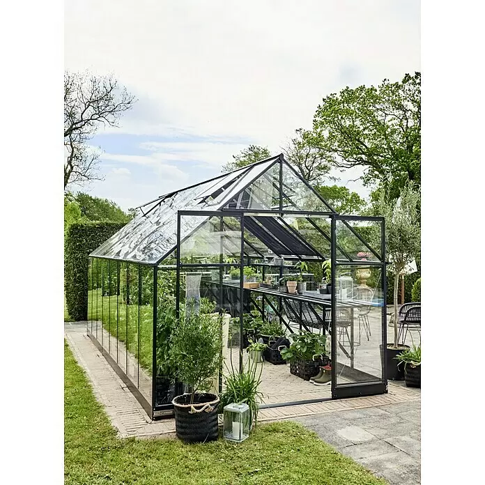 Halls Gewächshaus Qube 816 - Außenmaß inkl. Dachüberstand (B x T): 261 x 508 cm, 3 mm, Schwarz - Ein modernes, schwarz gerahmtes Glasgewächshaus steht in einem üppigen Garten, gefüllt mit Topfpflanzen und offenen Dachfenstern.