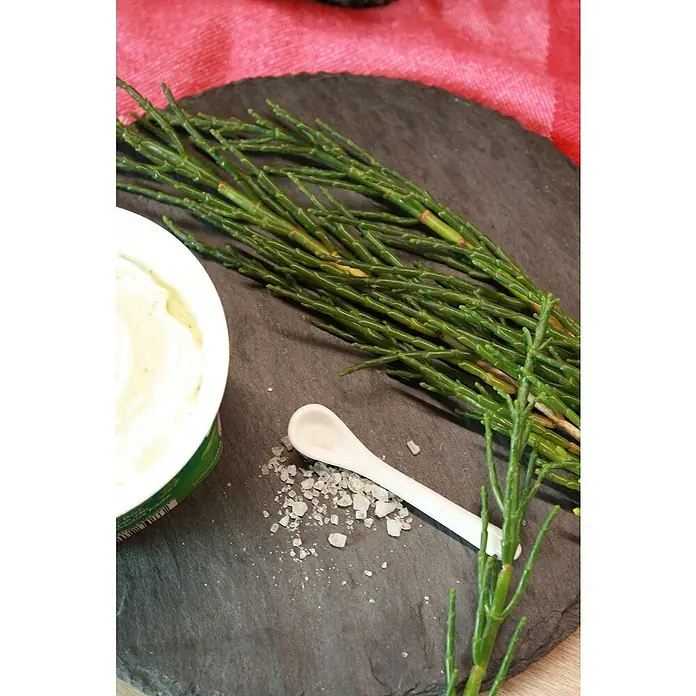 Blu Bio SalzkrautSalicornia europaea, Topfgröße: 12 cm - Nahaufnahme von Queller auf einer Schieferplatte mit Dip und Salz, die Textur und die natürlichen Aromen hervorhebt.