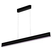 Philips Hue LED-Pendelleuchte Ensis (79 W, L x B x H: 129,9 x 4 x 157 cm, Schwarz, RGBW) | BAUHAUS