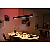 Philips Hue LED-Pendelleuchte Ensis (79 W, L x B x H: 129,9 x 4 x 157 cm, Schwarz, RGBW) | BAUHAUS