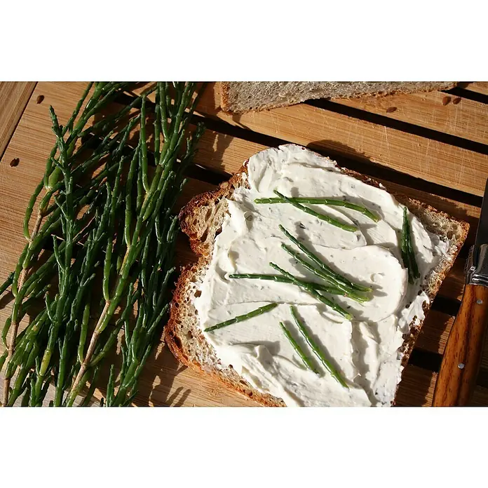 Blu Bio Salzkraut - Salicornia europaea, Topfgröße: 12 cm - Nahaufnahme von Queller auf Brot mit Frischkäse, ein frisches und maritimes Geschmackserlebnis auf einem Holzbrett serviert.