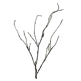 Kunstplant Hout Twijg Cordata (Hoogte: 95 cm, Polyester)