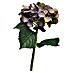 Kunstbloem Hydrangea Artist 