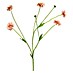 Kunstbloem Centaurea Madelon 